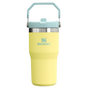 Swatch for Stanley 1913 The IceFlow™ Flip Straw Tumbler 20 OZ in Pomelo