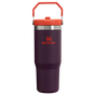 Swatch for Stanley 1913 The IceFlow™ Flip Straw Tumbler 30 OZ in Plum