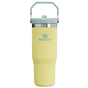 Swatch for Stanley 1913 The IceFlow™ Flip Straw Tumbler 30 OZ in Pomelo