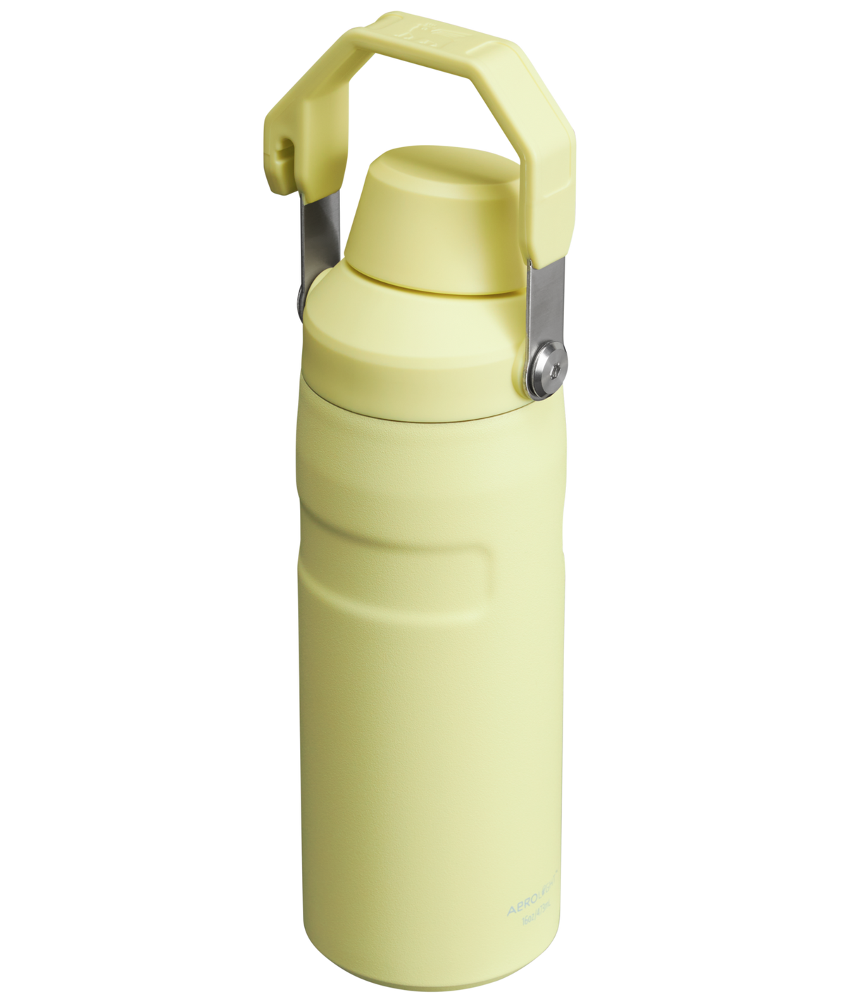 Stanley 1913 IceFlow™ Bottle with Fast Flow Lid 16 OZ in Pomelo