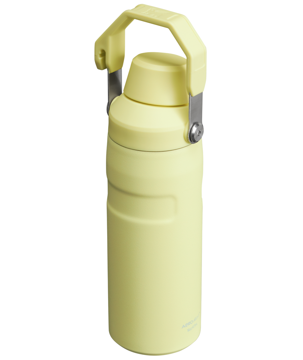 Stanley 1913 IceFlow™ Bottle with Fast Flow Lid 16 OZ in Pomelo