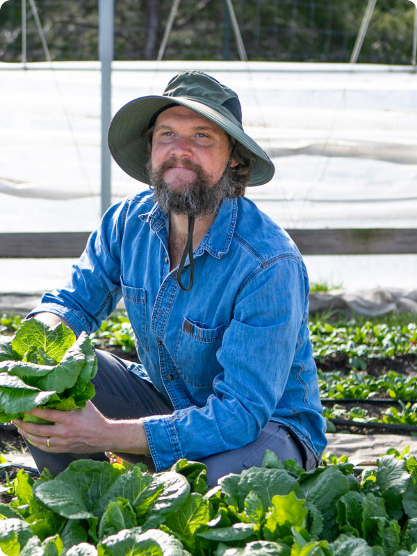 Bearded farmer in denim shirt and wide-brim hat crouching among leafy green crops in a greenhouse.