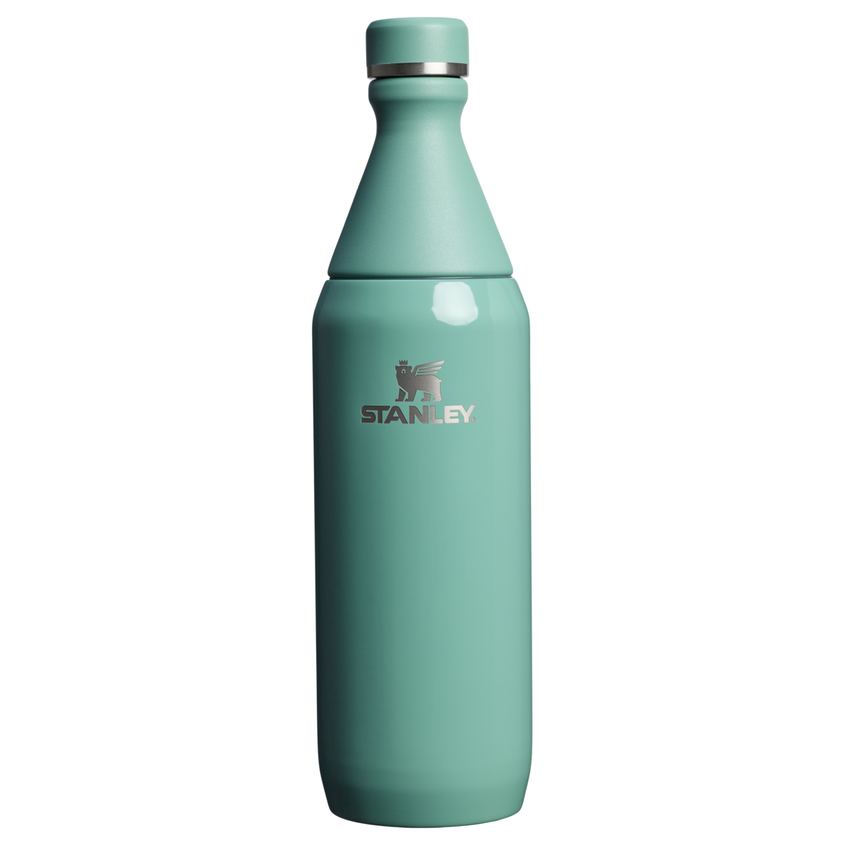 All Day Slim Bottle | 20 OZ
