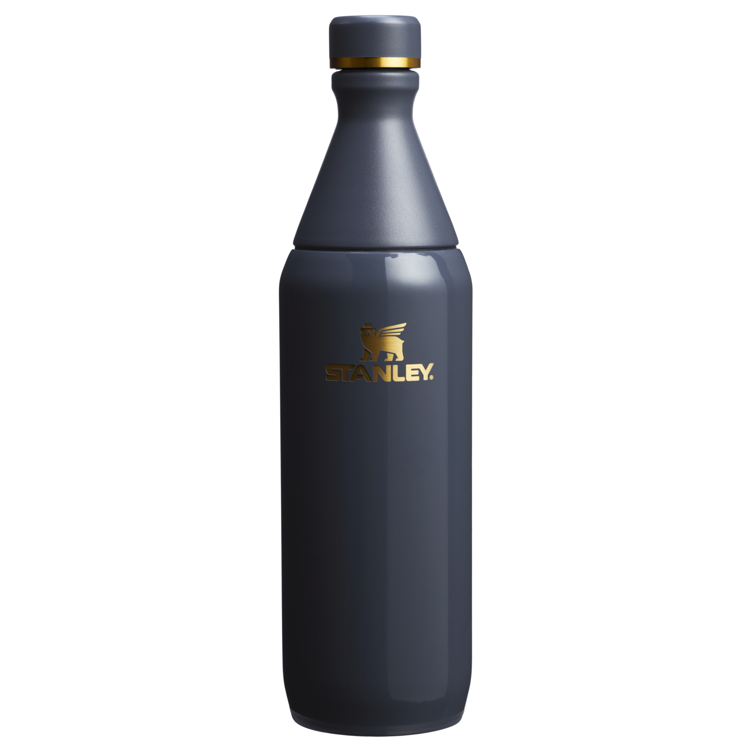 Stanley 1913 All Day Slim Bottle 20 OZ in Twilight