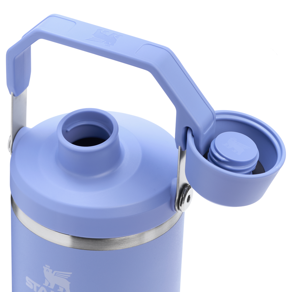 Stanley 1913 The IceFlow™ Tumbler with Fast Flow Lid 40 OZ in Hydrangea