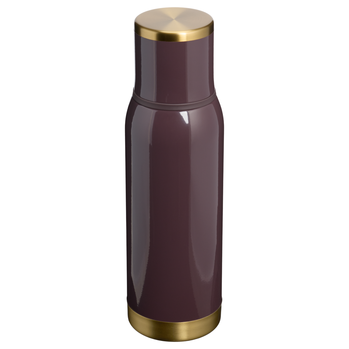 Stanley 1913 Adventure To-Go Bottle 25 OZ in Fig Gloss | Front View