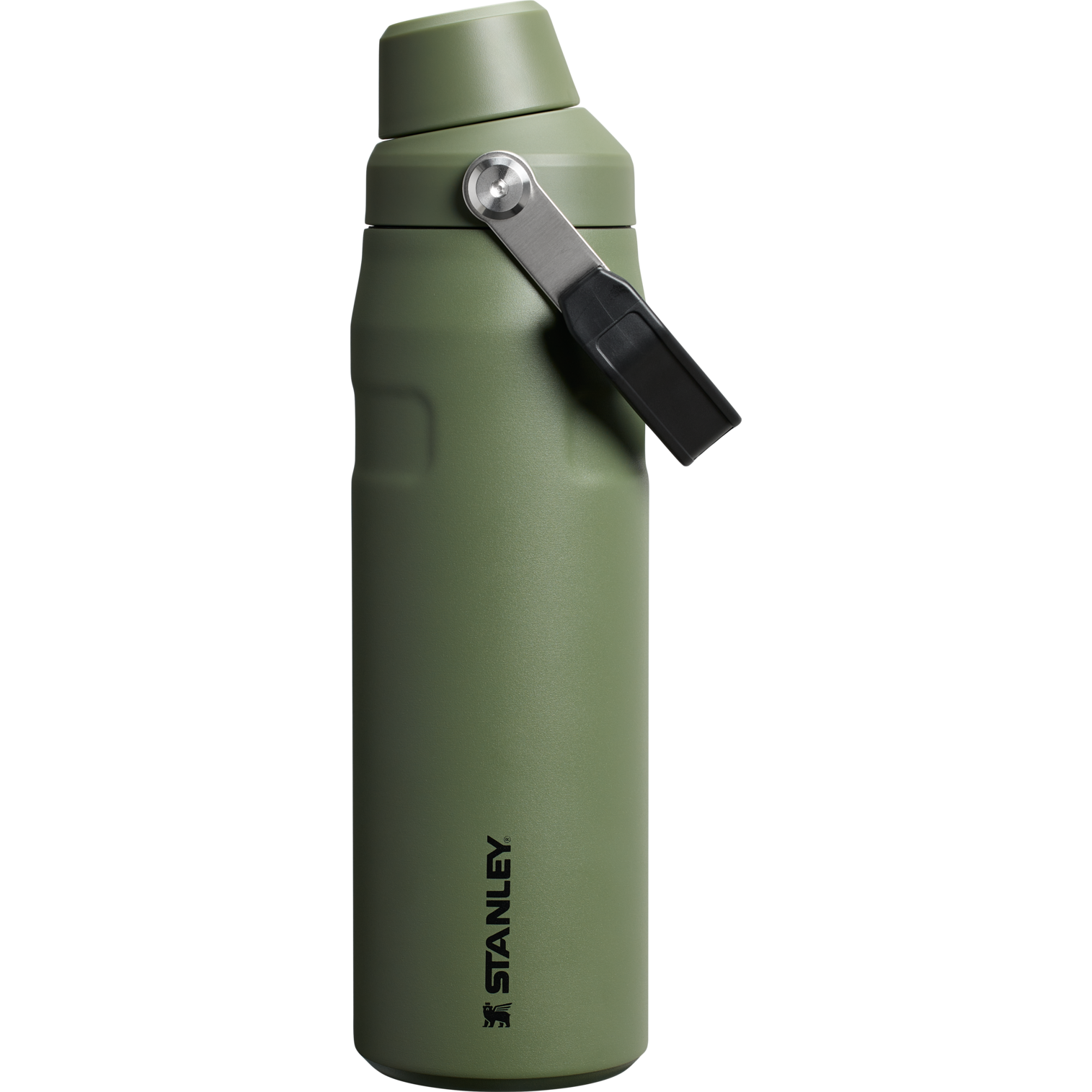 Stanley 1913 IceFlow™ Bottle with Fast Flow Lid 24 OZ in Dried Pine
