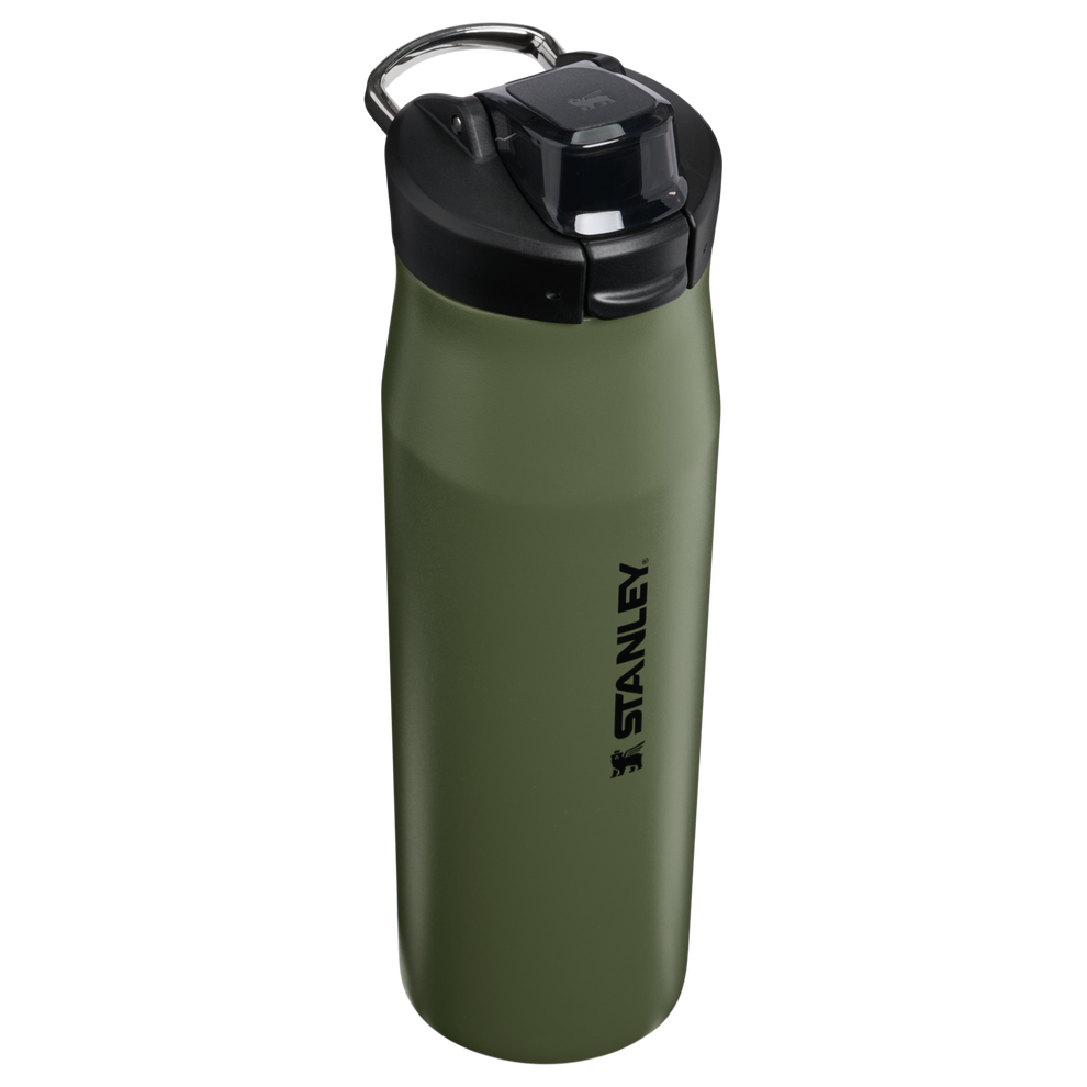 Stanley 1913 The Vitalize™ Tempo Bottle 24 OZ in Dried Pine